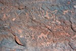 petróglifos em wadi rum