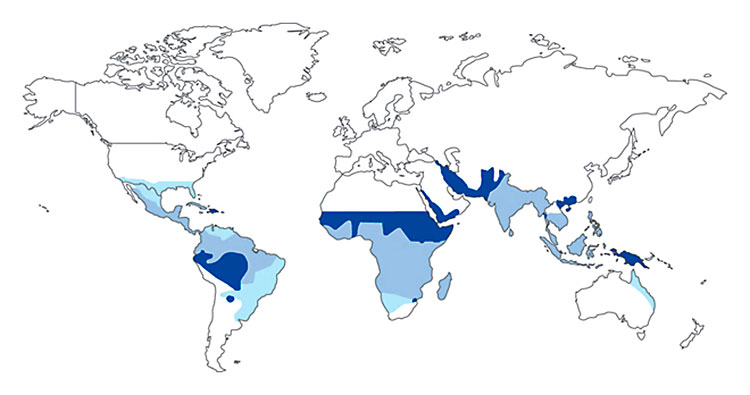 mapa com distribuição da malária e dengue no mundo