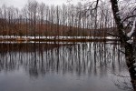 reflexos no lago de sanabria