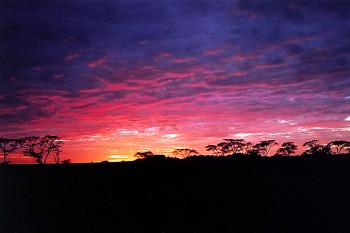 Nascer do Sol em África