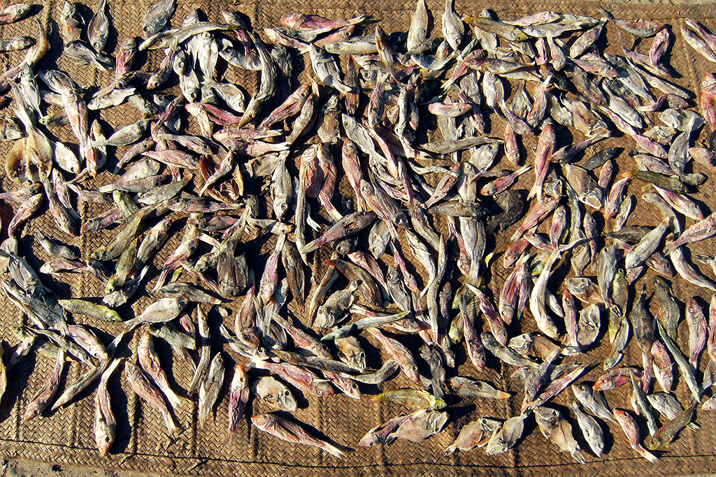 peixo seco na ilha de Moçambique