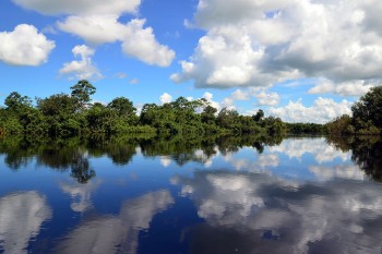 Pampas em Rurrenabaque