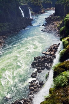 Rio Iguaçu