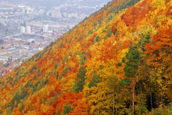 montanha junto a Brasov na Transilvânia