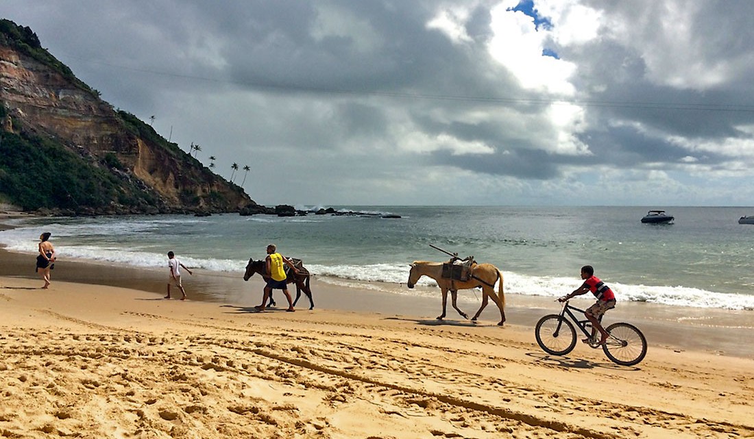 cavalos e bicicleta na praia, morro são paulo, brasil
