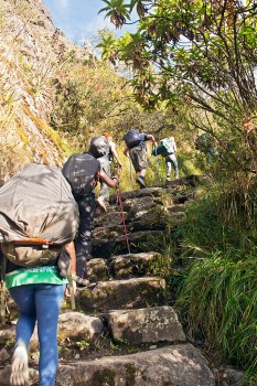 pessoas a subir grandes degraus de pedra no caminho inca