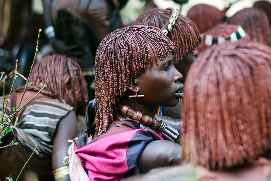 grupo de mulheres hammer do vale de omo na Etiópia a assistir a festa