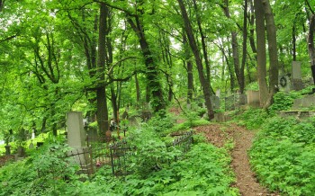 Caminho entre vegetação cerrada no cemitério de Lviv