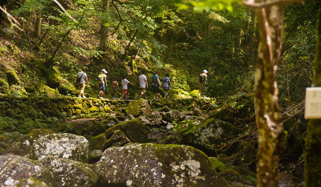 Grupo de pessoas a passear no parque das 48 cataratas de Akame.