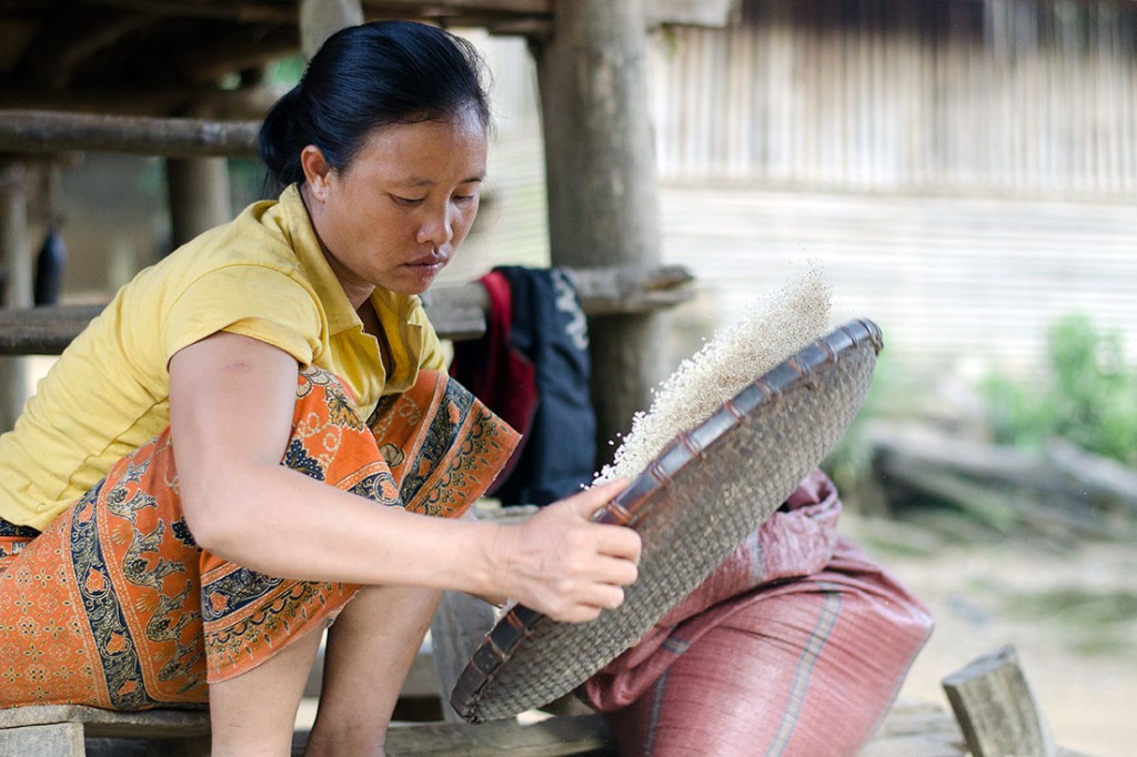 Mulher na aldeia de Muang Ngoi Neua a limpar e peneirar arroz.