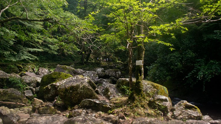Grandes pedras e densa vegetação no parque das 48 cataratas de Akame no Japão.