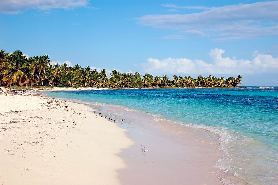 Praia de areias douradas e mar azul-turquesa cheia de coqueiros em Saona, Republica Dominicana