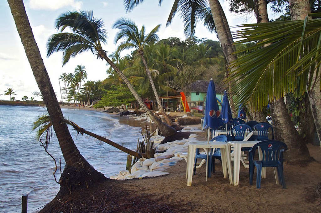 Mesas no meio de coqueiros da praia da concha em Itacaré.