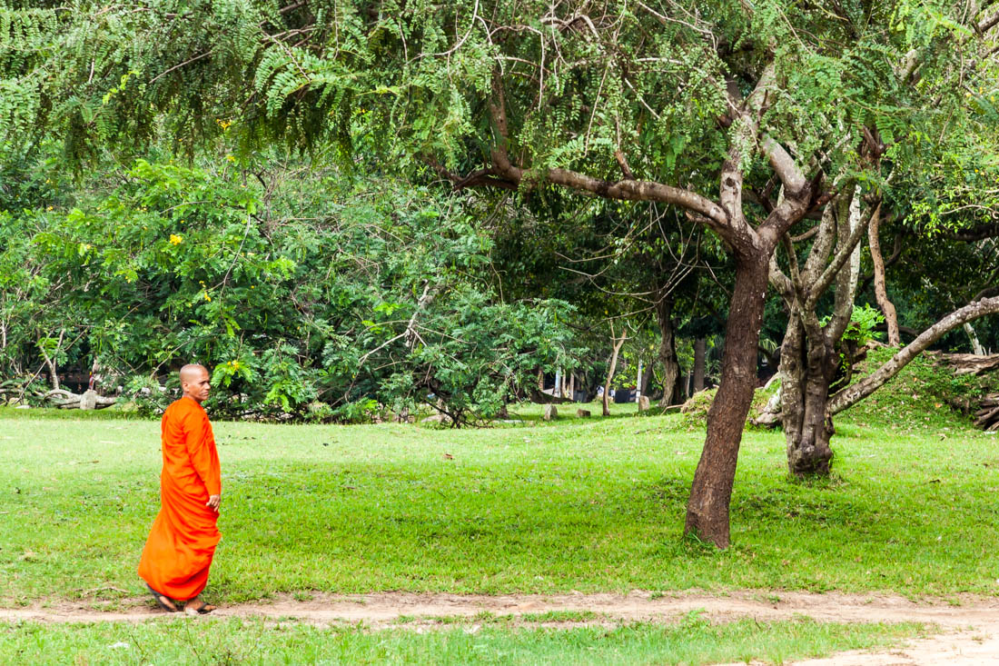 Monge budista a caminhar na envolvente entre os templos da antiga cidade de Anaradhpura.