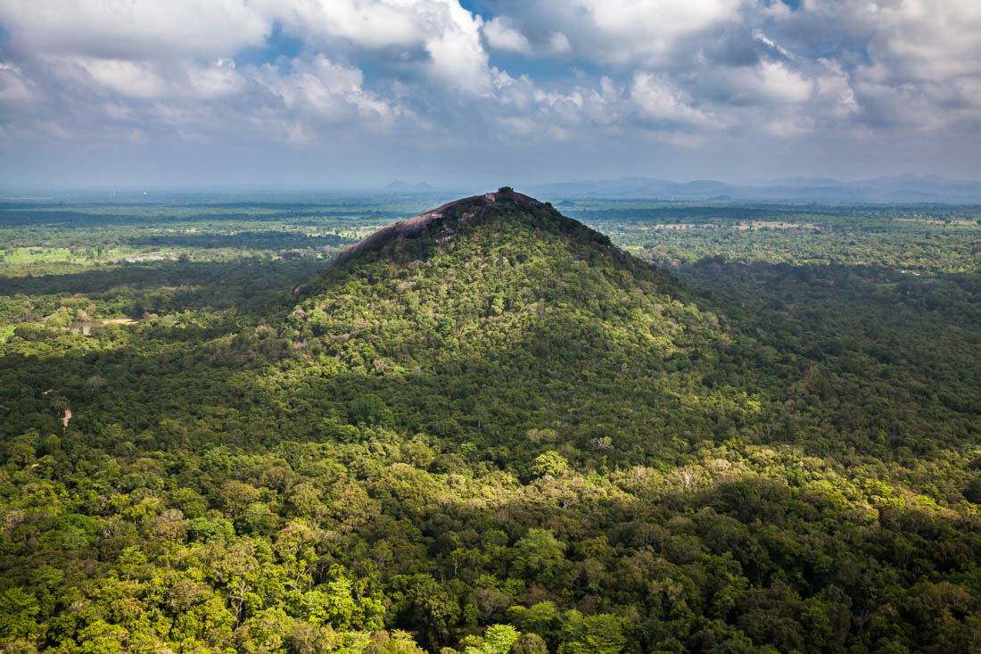 Selva serrada e Monte Pidurangala observado desde o rochedo de Sigiriya.