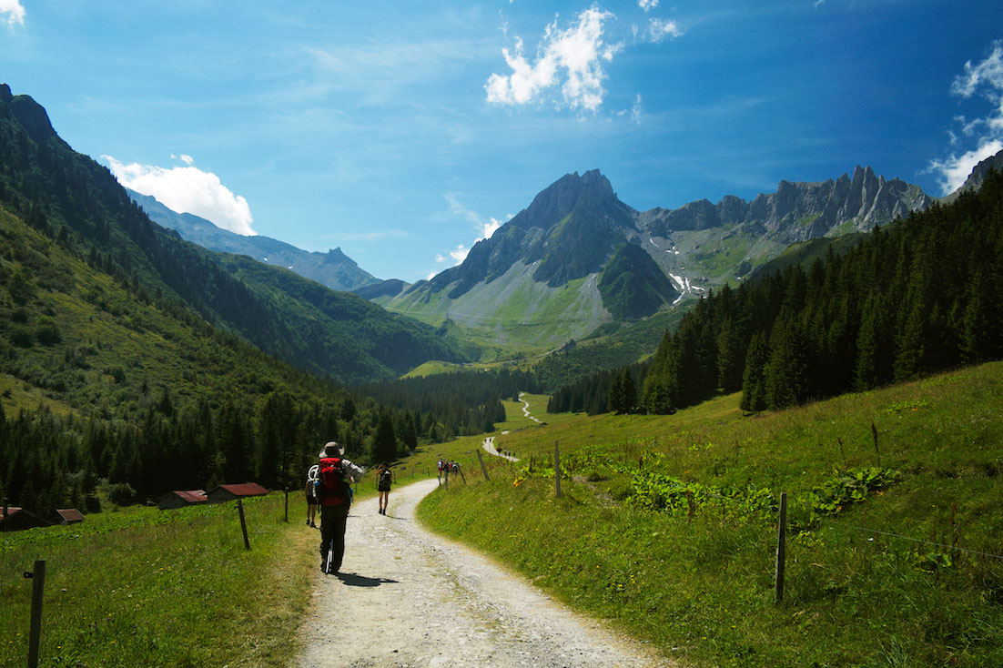 Paisagem verde alpina atravessada por montanhistas num dos trilhos do Tour do Monte Branco.