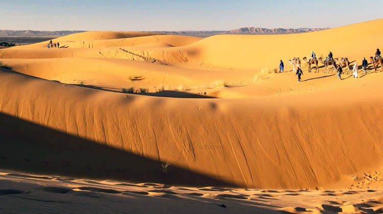 Camelos com pessoas a atravessar as dunas de Erg Chebbi, em Marrocos.