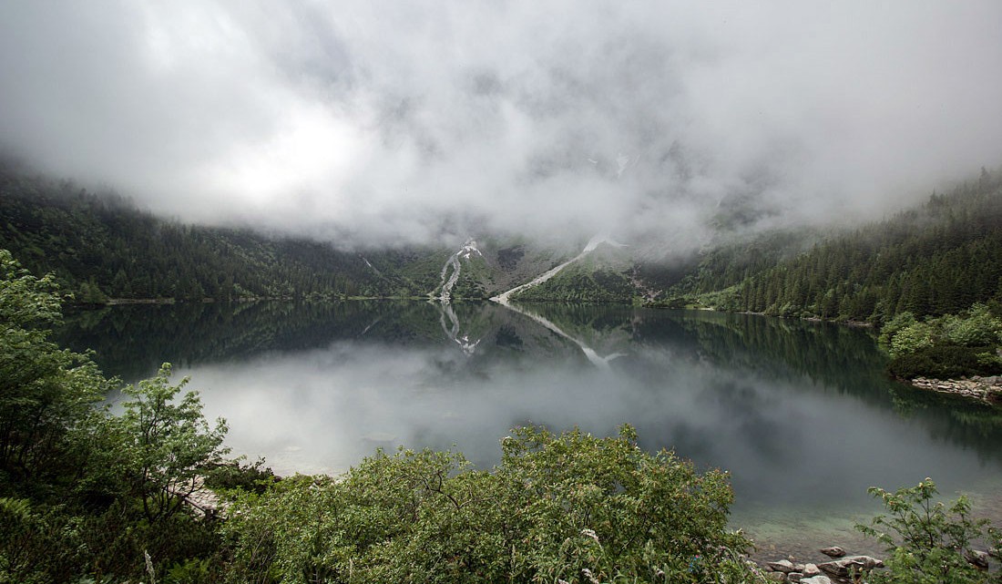 Lago Morskie Oko envolvido por vegetação luxuriante e um denso nevoeiro.
