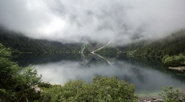 Lago Morskie Oko envolvido por vegetação luxuriante e um denso nevoeiro.