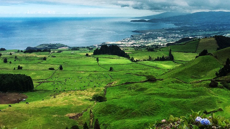 Campos verdes de pasto numa encosta que desliza até o mar, na ilha de São Miguel, Açores.