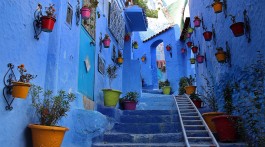Rua acentuada cheia de vasos nas paredes azuis da medina de Chefchaouen.