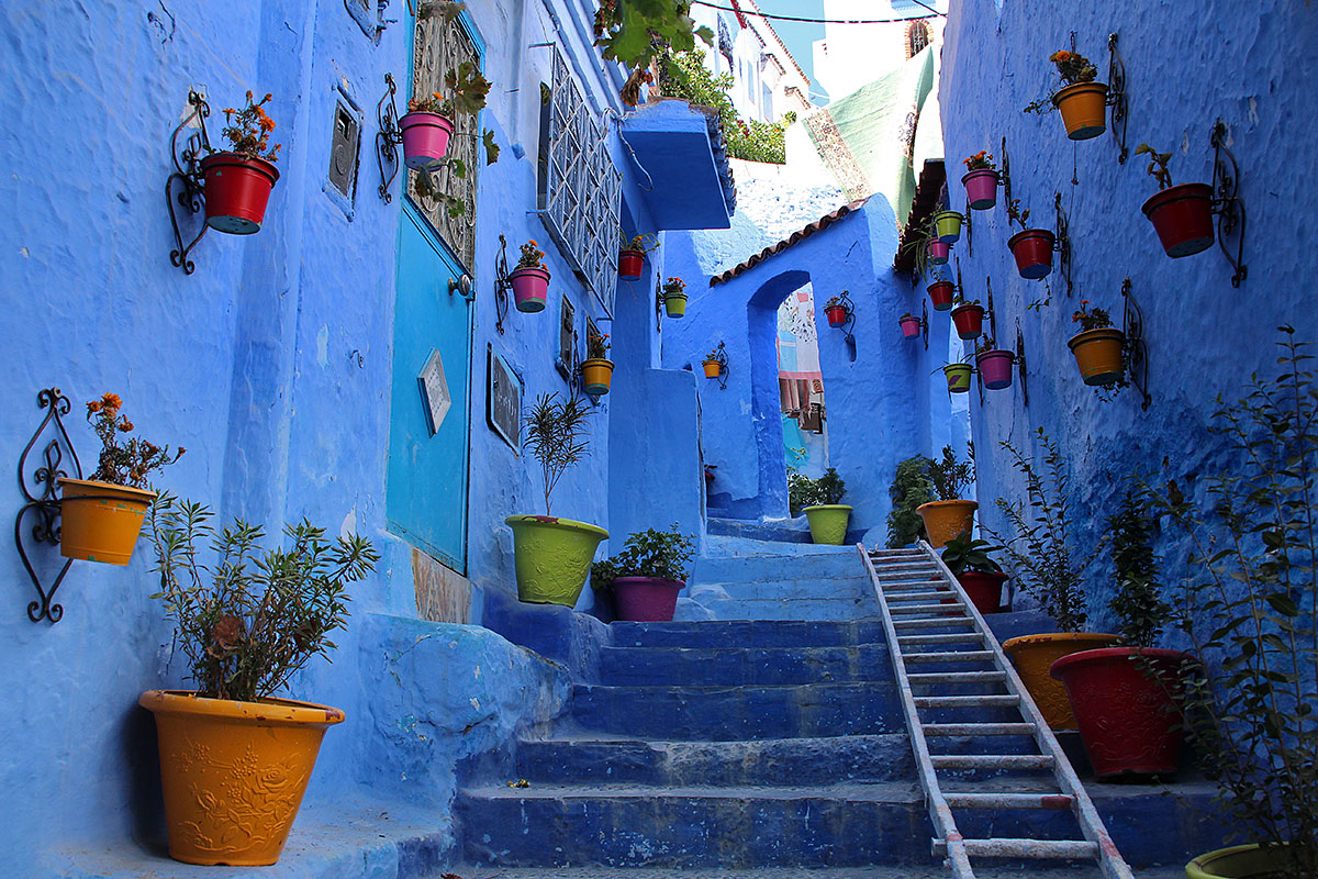 Rua acentuada cheia de vasos nas paredes azuis da medina de Chefchaouen.