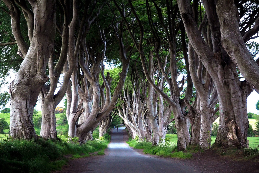 Dark Hedges, Irlanda do Norte